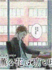 国漫岛应用封面